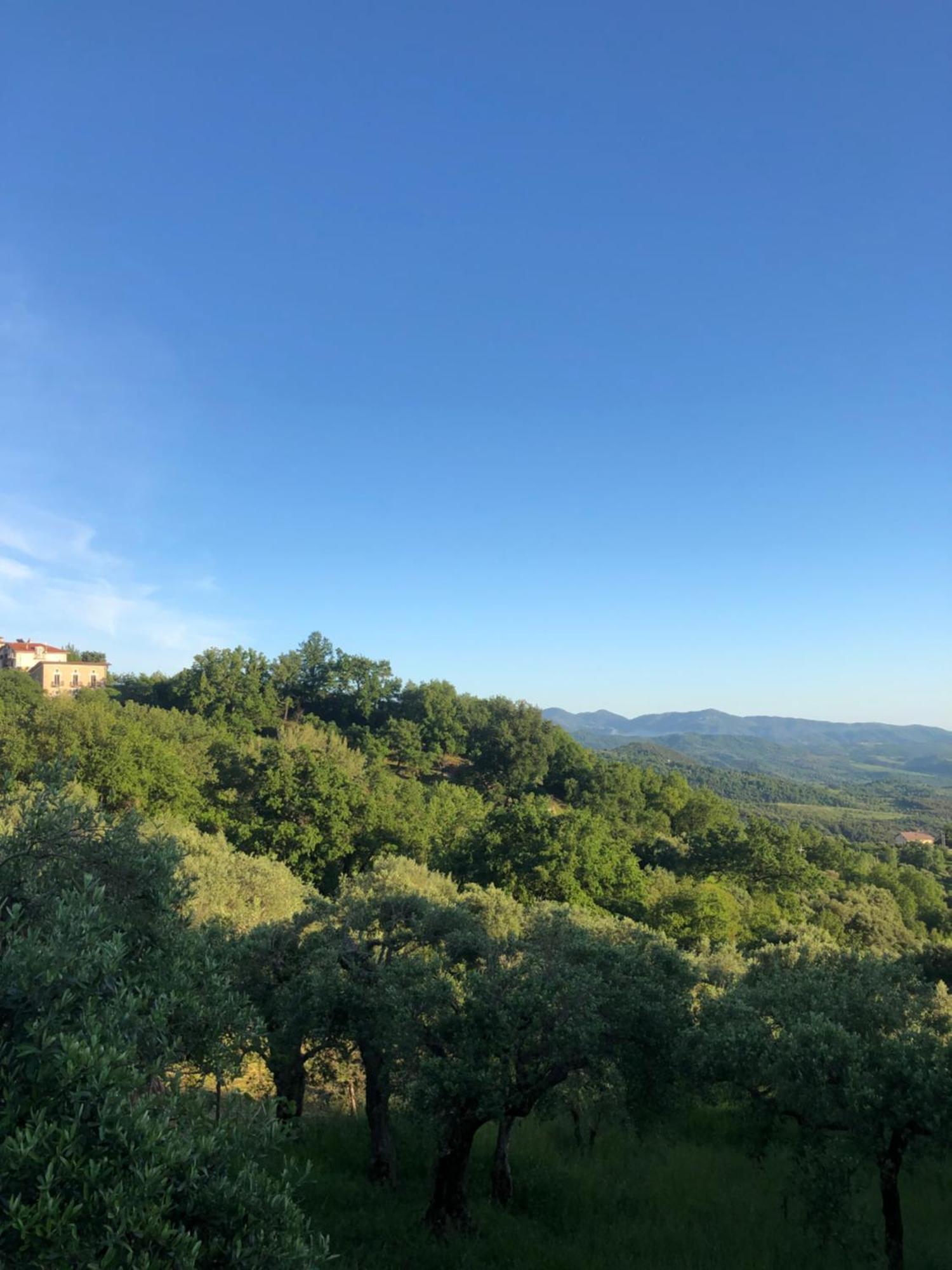 Cardile La Casa Di Lidia B&B 외부 사진